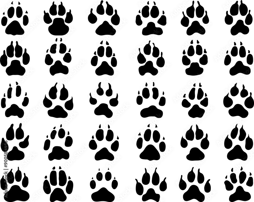Fototapeta premium Black print of dogs paws 