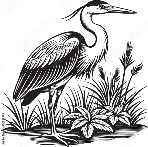 great blue heron common bird silhouette vector art illustration with a natural background
