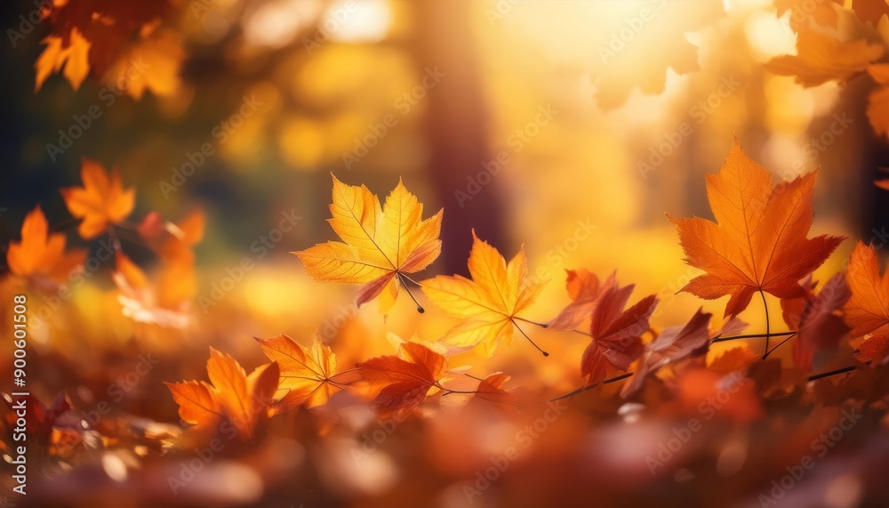 Golden leaves dance in the warm autumn light Golden leaves dance in the warm autumn light