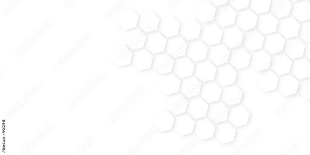 Abstract background with hexagon,Bright hexagon wallpaper or background,Realistic geometric mesh cells texture.hexagon pattern white abstract background.
Abstract background with hexagon,Bright hexagon wallpaper or background,Realistic geometric mesh cells texture.hexagon pattern white abstract background.