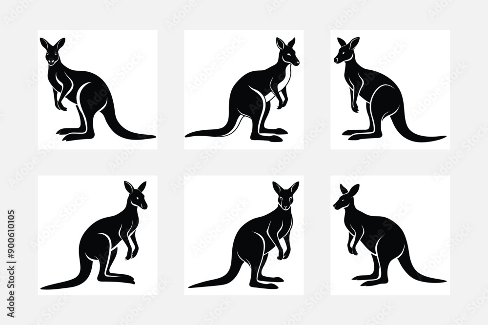Kangaroo set. Vector illustration animal Kangaroo set. Vector illustration animal
