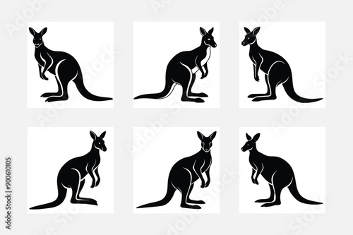 Kangaroo set. Vector illustration animal