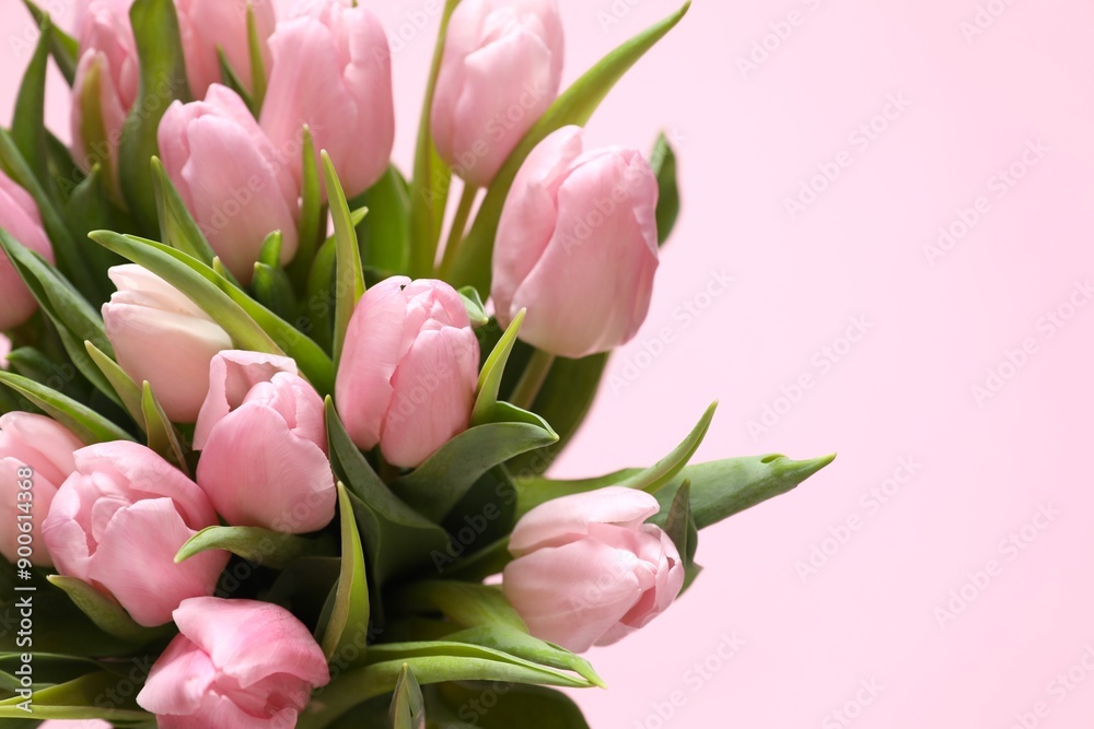Beautiful fresh tulips on color background Beautiful fresh tulips on color background