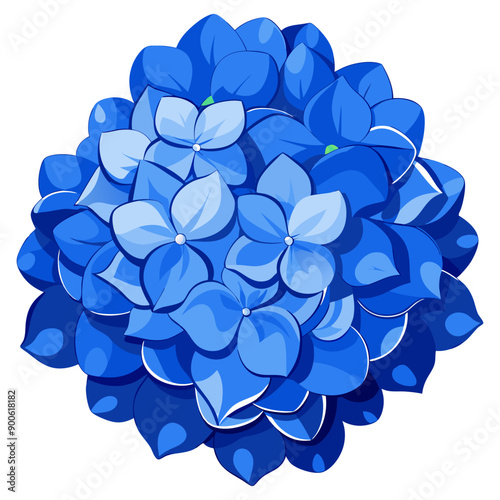 A cluster of blue hydrangea flowers with numerous small petals, displayed against a white background.