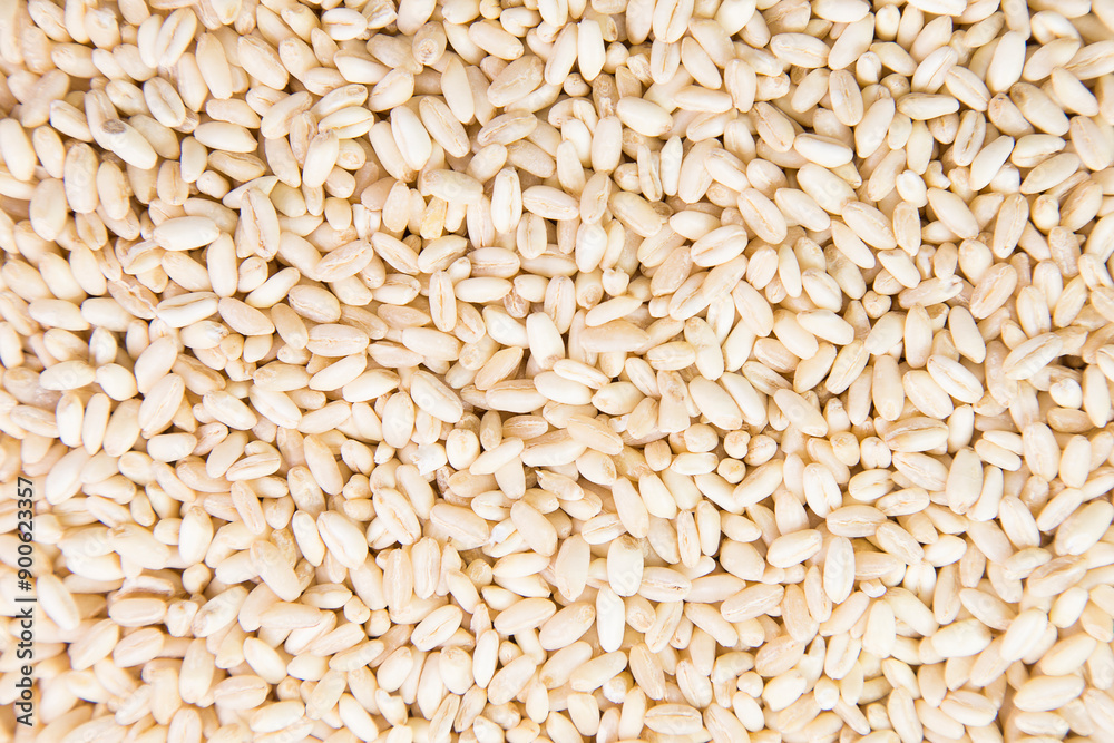 Wheat berries background, high resolution Wheat berries background, high resolution