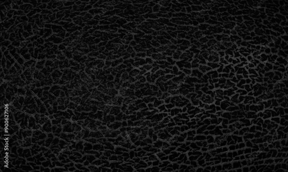 fragment of melon pattern as background for artists