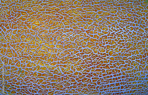 fragment of melon pattern as background for artists