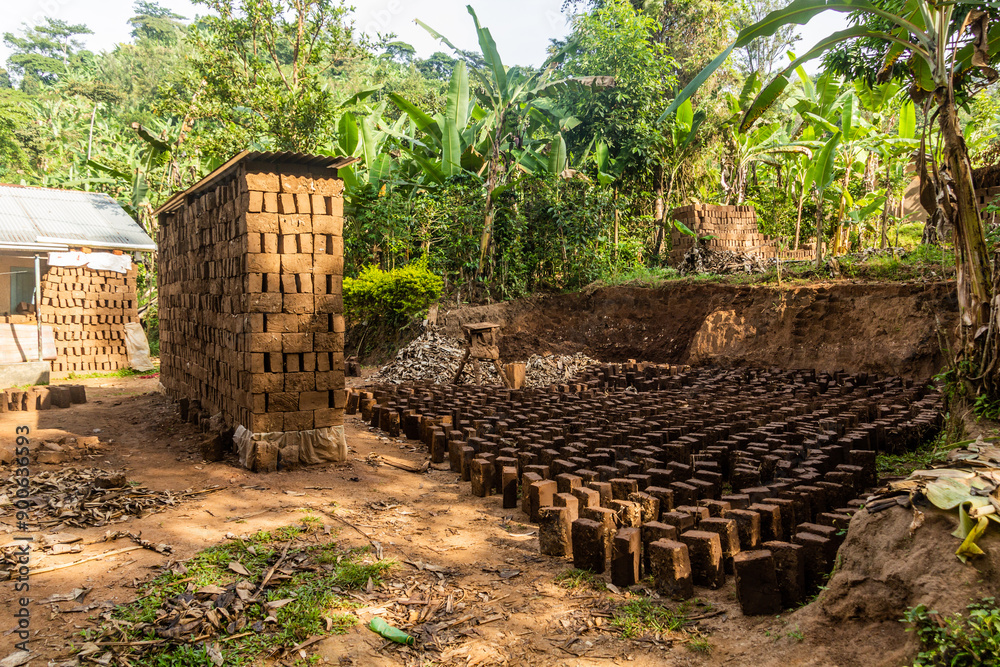 Obraz premium Adobe bricks production near Budadiri village, Uganda