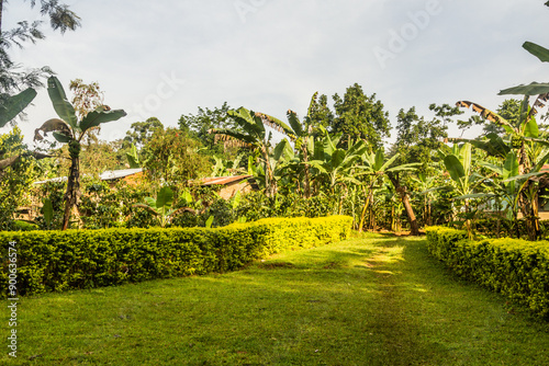 Rural houses near Budadiri village, Uganda