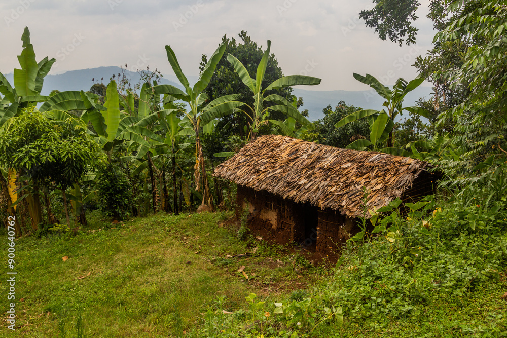 Rural house near Budadiri, Uganda Rural house near Budadiri, Uganda