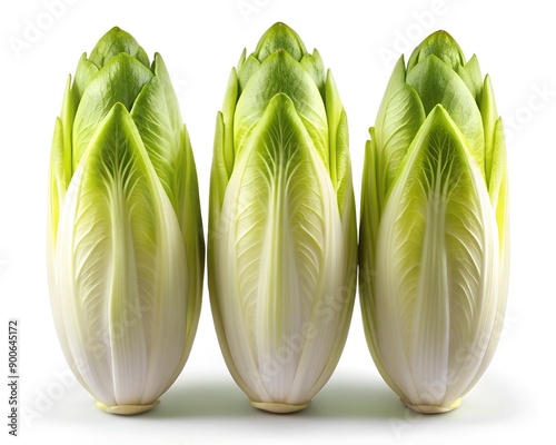 Fresh Organic Endive Leaves: Healthy Green Vegetable for Salads, Vegan and Vegetarian Dishes, Farm-to-Table Produce, Gourmet Cooking Ingredient, Crisp Leafy Greens for a Natural and Nutritious Lifesty
