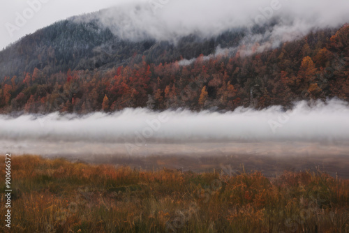 Misty Mountain Meadow: A serene landscape painted in autumnal hues, with a blanket of fog enveloping the valley and rolling towards the misty mountain slopes. The scene evokes a sense of tranquility a