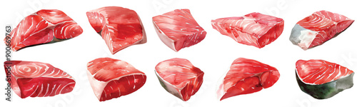 Set collection of raw sliced tuna fillet hand drawn watercolor design resources elements