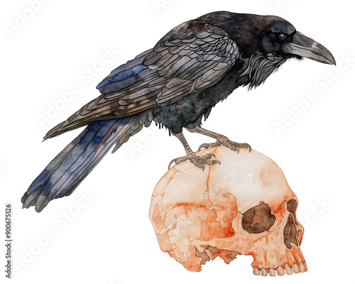 A detailed watercolor illustration of a raven perched on a human skull, symbolizing mystery and the macabre. Halloween, Crow, PNG, Transparent, No Background