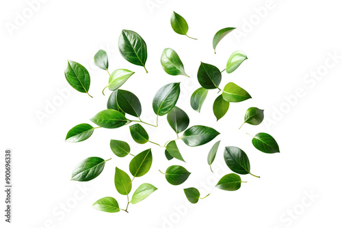 Green leaves flying in the air isolated on background