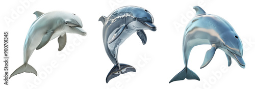 Jumping dolphins isolated on transparent background