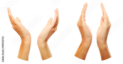 Two hands holding or protecting something. Isolated on white