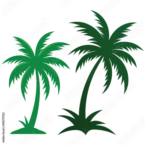 palm tree, green color  vector art illustration, isolate white background
