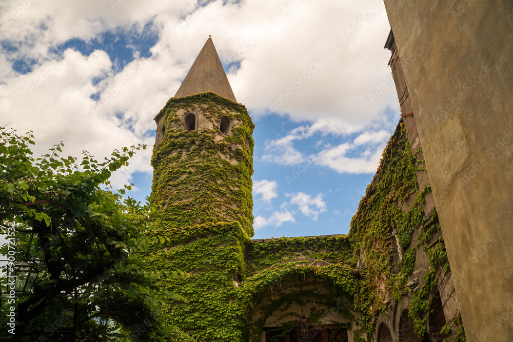 Historic Tower Covered in Ivy on a Bright Day