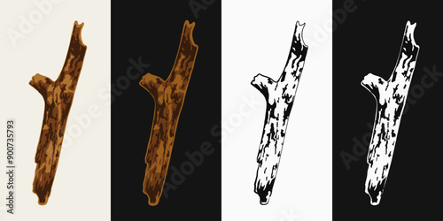 Dry thick wooden stick on a white, dark background. Tree branch without leaves. Image tracing, cleaned and simplified illustration. Realistic style. Not AI.