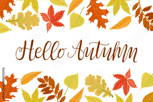 Autumn horizontal banner with colored leaves and calligraphic lettering Hello Autumn. Hand drawn flat style. Simple botanical illustration. Vector clipart of drawings isolated on white background