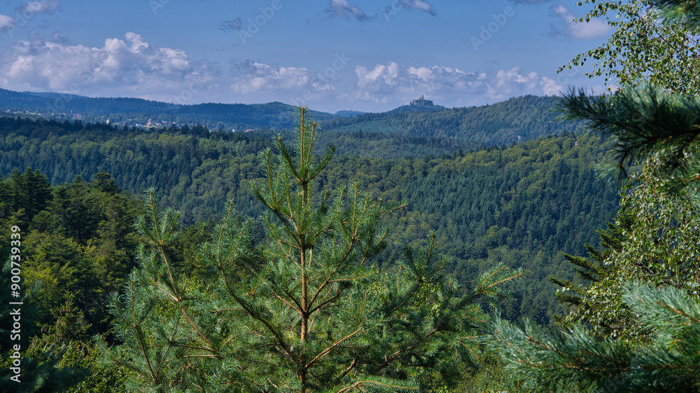 Fototapeta premium Krappenfels in den nödlichen Vogesen nahe Saverne