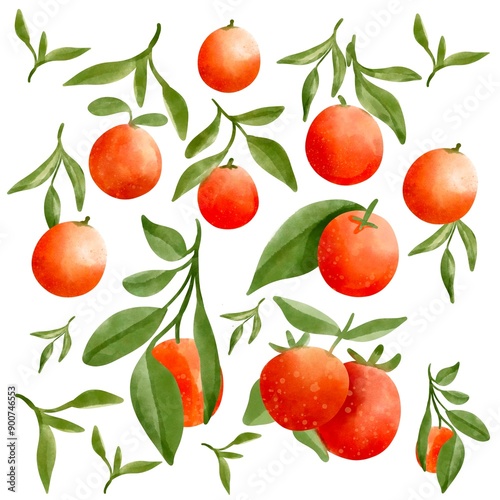Watercolor orange illustration element.