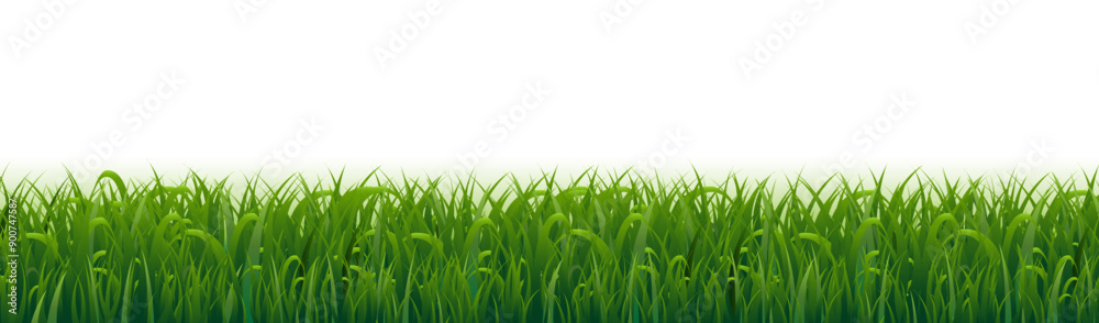 Obraz premium Grass Border And White Background_