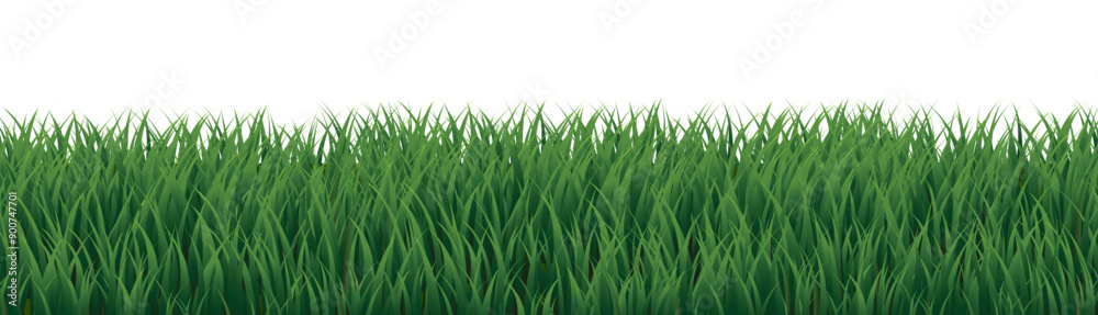 Obraz premium eGraeenNatureGreenBackgroundBackground_8_240719.eps