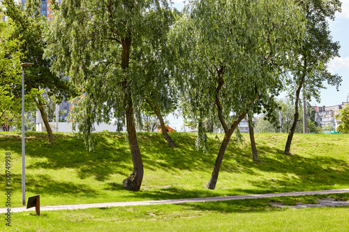 Fototapeta Naklejka Na Ścianę i Meble -  Walkway surrounded by trees and lawns in Kyiv, Europe. Recreation place in the city park