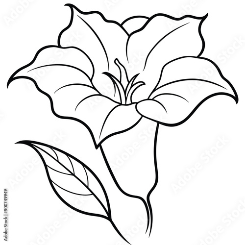 Datura Flower Vector Art