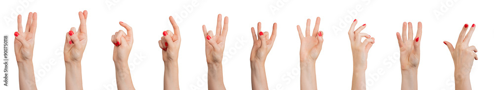Hands gestures set isolated on white background, transparent PNG Hands gestures set isolated on white background, transparent PNG