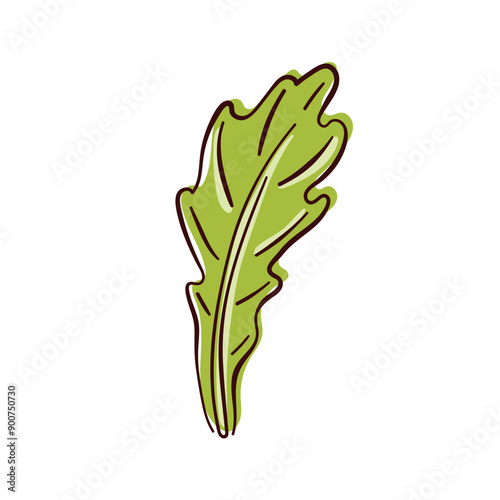 Fresh arugula green leave logo in line art style. Design for restaurant, menu, ingredients. Vector illustration isolated on a white background.