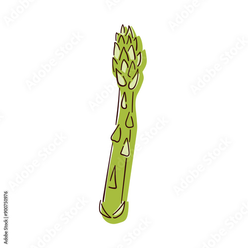 Asparagus green sprout icon in line art style. Vegetable, cooking ingredient. Vector illustration isolated on a white background.