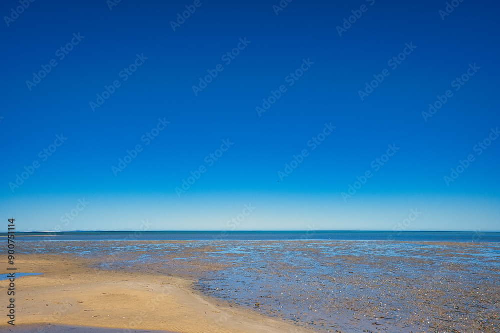 Beach and mudflats of a shallow tropical sea at low tide. Clear blue sky. Shark Bay, Denham, Western Australia
