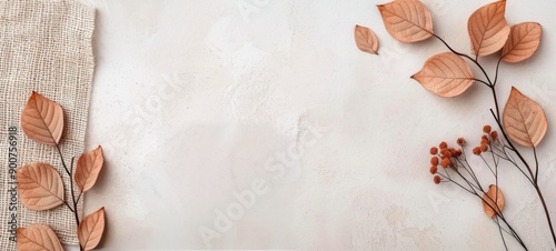 Dried Leaves and Berries on White Background