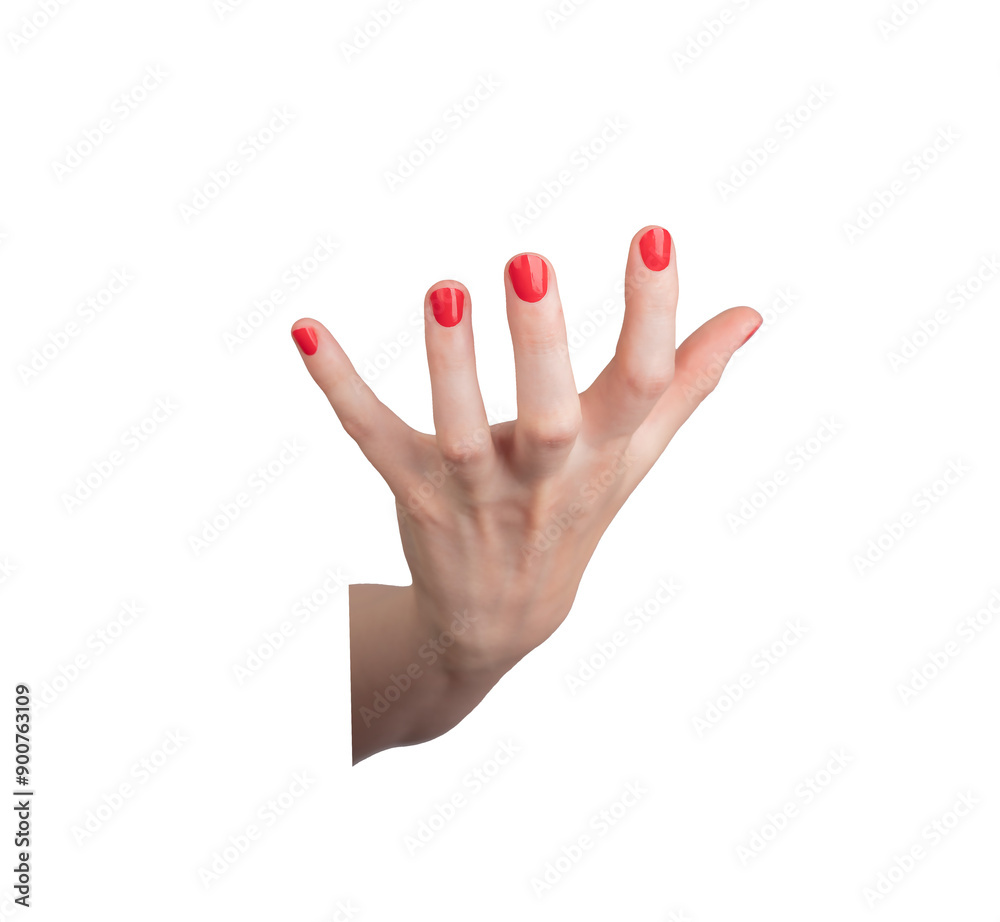 A hand, graceful gesture of holding an invisible or virtual object. The isolated, Caucasian hand, set against a white background, features a delicate grip with red nail polish. The., transparent PNG A hand, graceful gesture of holding an invisible or virtual object. The isolated, Caucasian hand, set against a white background, features a delicate grip with red nail polish. The., transparent PNG