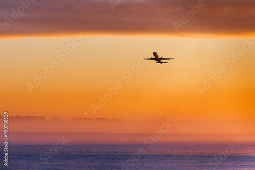 The plane is landing at dawn in heavy fog. The silhouette of an airplane