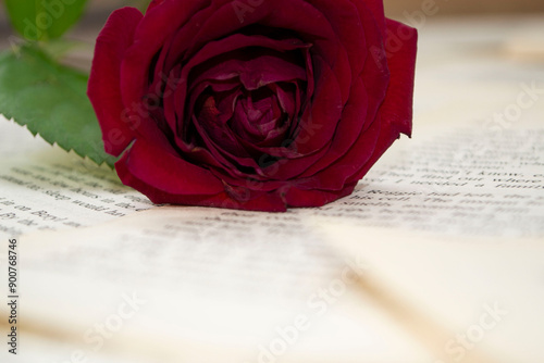 red rose on book