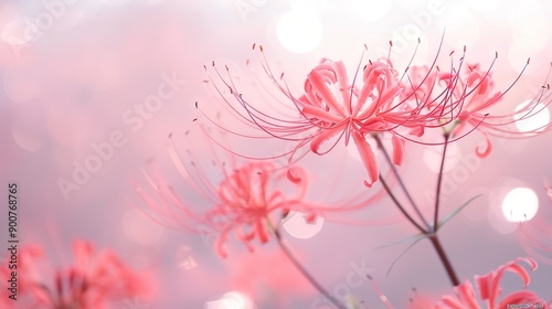  A pink flower in focus against a blurred background with lights in the background