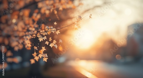 Sunset Bokeh in the Woods