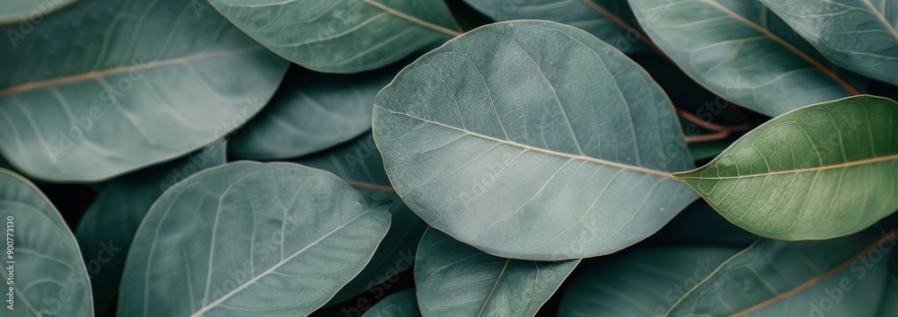 custom made wallpaper toronto digitalCloseup of Green Leaves