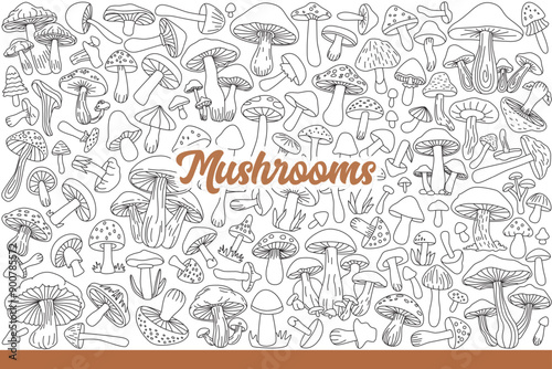 Harvest of fresh mushrooms collected in forest, suitable for food or poisonous. Mushrooms of different sizes grow in groups or singly, for design of products for mushroom pickers. Hand drawn doodle