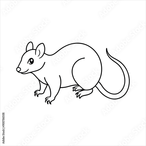 Possum Coloring Page vector line art