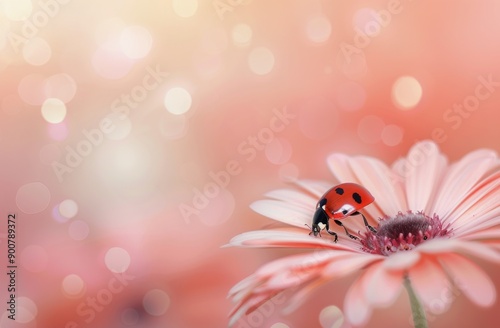 Ladybug on Pink Flower