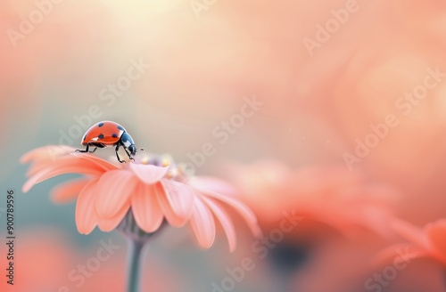 Ladybug on Pink Flower
