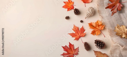Autumn Leaves and Pine Cones on a White Background
