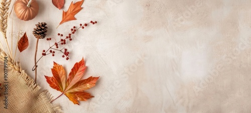Autumn Leaves and Pine Cones on a White Background