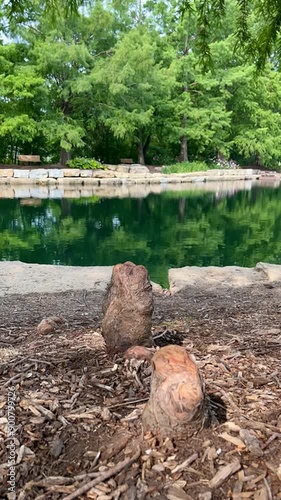 Rippling park pond with relaxing scenic trees and sky reflections natural landscape