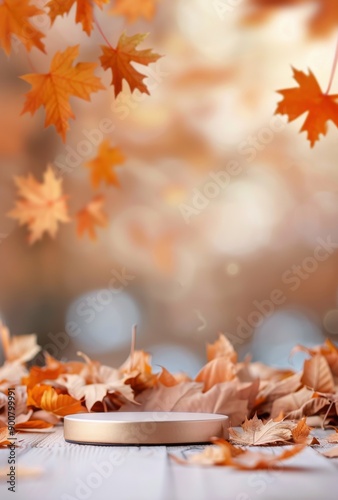 Autumn Leaves and Platform